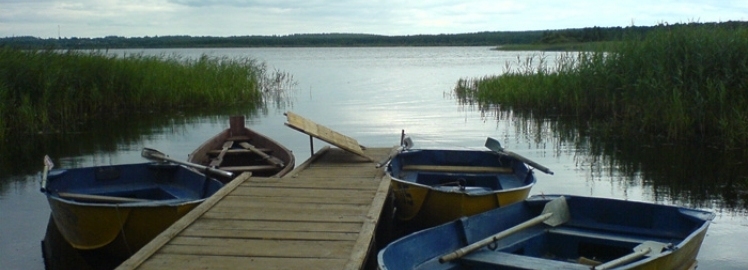 Рыбалка на озере Милятино в Калужской области